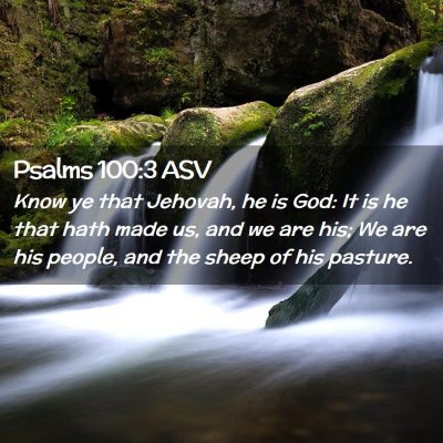Picture 02 - Psalms 100:3 ASV - Know ye that Jehovah, he is God: It is he that - Bible Verse Picture