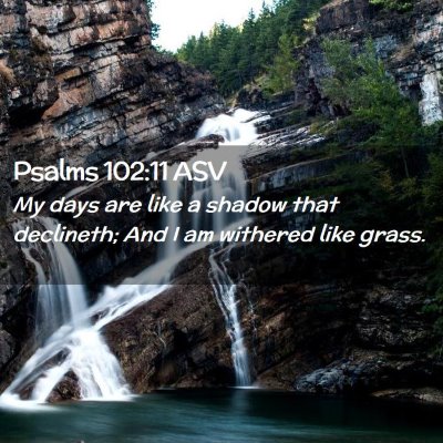 Picture 02 - Psalms 102:11 ASV - My days are like a shadow that declineth; And I - Bible Verse Picture