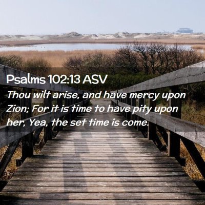Picture 02 - Psalms 102:13 ASV - Thou wilt arise, and have mercy upon Zion; For it - Bible Verse Picture
