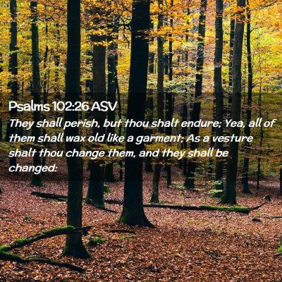Picture 02 - Psalms 102:26 ASV - They shall perish, but thou shalt endure; Yea, - Bible Verse Picture