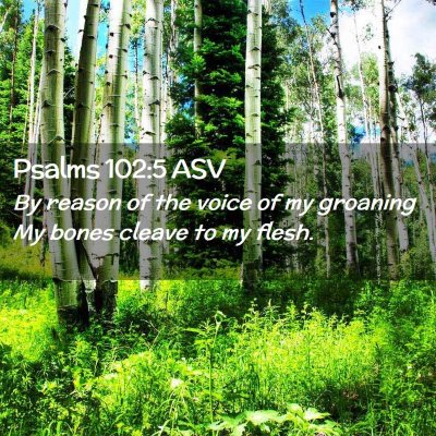 Picture 02 - Psalms 102:5 ASV - By reason of the voice of my groaning My bones - Bible Verse Picture