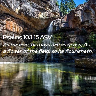 Picture 02 - Psalms 103:15 ASV - As for man, his days are as grass; As a flower of - Bible Verse Picture