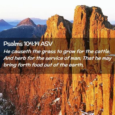 Picture 02 - Psalms 104:14 ASV - He causeth the grass to grow for the cattle, And - Bible Verse Picture