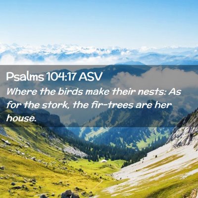 Picture 02 - Psalms 104:17 ASV - Where the birds make their nests: As for the - Bible Verse Picture