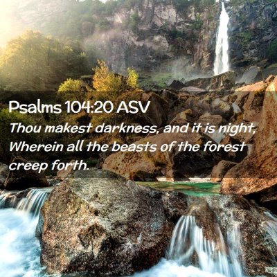 Picture 02 - Psalms 104:20 ASV - Thou makest darkness, and it is night, Wherein - Bible Verse Picture