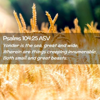 Picture 02 - Psalms 104:25 ASV - Yonder is the sea, great and wide, Wherein are - Bible Verse Picture