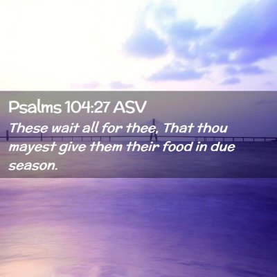 Picture 02 - Psalms 104:27 ASV - These wait all for thee, That thou mayest give - Bible Verse Picture