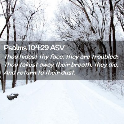 Picture 02 - Psalms 104:29 ASV - Thou hidest thy face, they are troubled; Thou - Bible Verse Picture