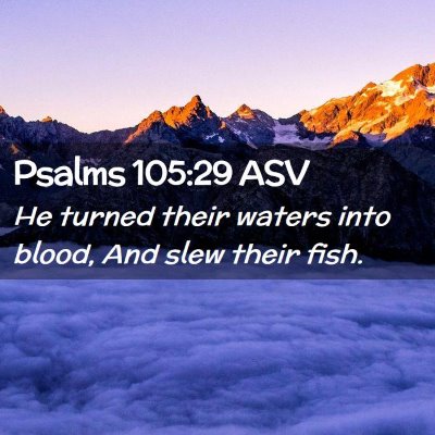 Picture 02 - Psalms 105:29 ASV - He turned their waters into blood, And slew their - Bible Verse Picture