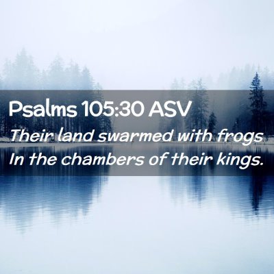Picture 02 - Psalms 105:30 ASV - Their land swarmed with frogs In the chambers of - Bible Verse Picture