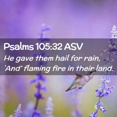 Picture 02 - Psalms 105:32 ASV - He gave them hail for rain, `And' flaming fire in - Bible Verse Picture