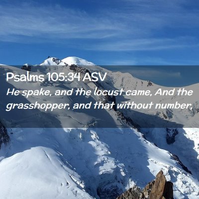 Picture 02 - Psalms 105:34 ASV - He spake, and the locust came, And the - Bible Verse Picture