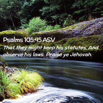 Picture 02 - Psalms 105:45 ASV - That they might keep his statutes, And observe - Bible Verse Picture