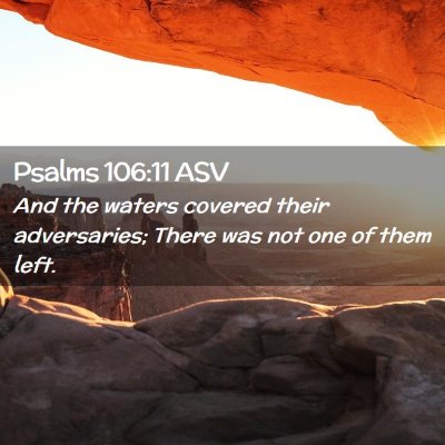 Picture 02 - Psalms 106:11 ASV - And the waters covered their adversaries; There - Bible Verse Picture