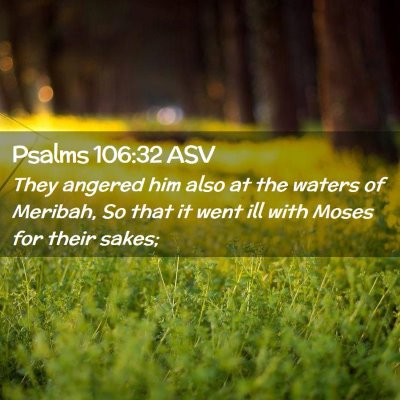Picture 02 - Psalms 106:32 ASV - They angered him also at the waters of Meribah, - Bible Verse Picture