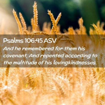 Picture 02 - Psalms 106:45 ASV - And he remembered for them his covenant, And - Bible Verse Picture