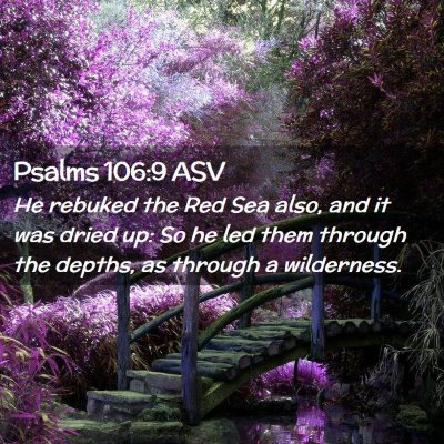 Picture 02 - Psalms 106:9 ASV - He rebuked the Red Sea also, and it was dried up: - Bible Verse Picture