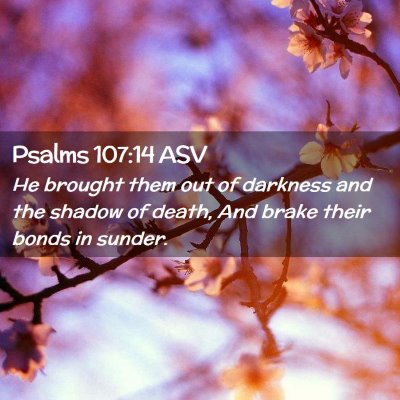 Picture 02 - Psalms 107:14 ASV - He brought them out of darkness and the shadow of - Bible Verse Picture