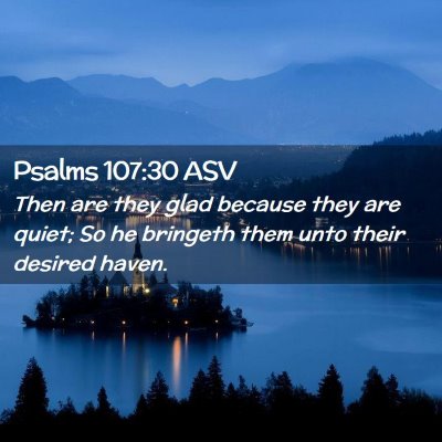 Picture 02 - Psalms 107:30 ASV - Then are they glad because they are quiet; So he - Bible Verse Picture