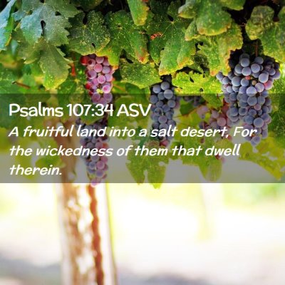 Picture 02 - Psalms 107:34 ASV - A fruitful land into a salt desert, For the - Bible Verse Picture