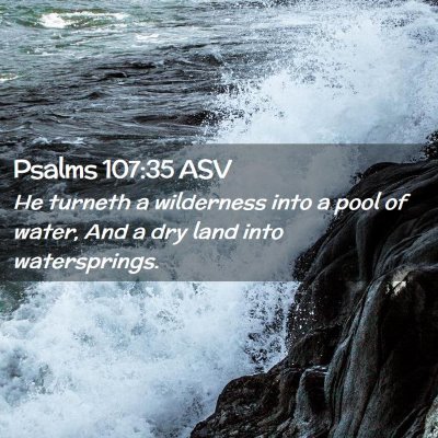 Picture 02 - Psalms 107:35 ASV - He turneth a wilderness into a pool of water, And - Bible Verse Picture