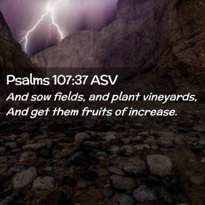Picture 02 - Psalms 107:37 ASV - And sow fields, and plant vineyards, And get them - Bible Verse Picture