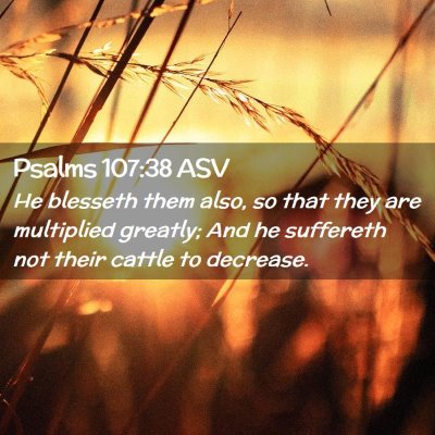 Picture 02 - Psalms 107:38 ASV - He blesseth them also, so that they are - Bible Verse Picture