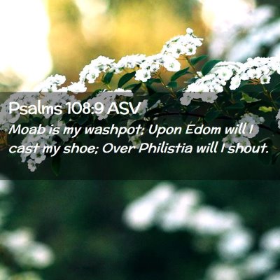 Picture 02 - Psalms 108:9 ASV - Moab is my washpot; Upon Edom will I cast my - Bible Verse Picture