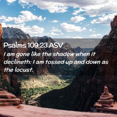 Picture 02 - Psalms 109:23 ASV - I am gone like the shadow when it declineth: I am - Bible Verse Picture
