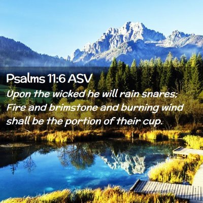 Picture 02 - Psalms 11:6 ASV - Upon the wicked he will rain snares; Fire and - Bible Verse Picture