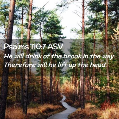 Picture 02 - Psalms 110:7 ASV - He will drink of the brook in the way: Therefore - Bible Verse Picture