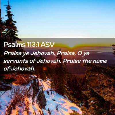 Picture 02 - Psalms 113:1 ASV - Praise ye Jehovah. Praise, O ye servants of - Bible Verse Picture