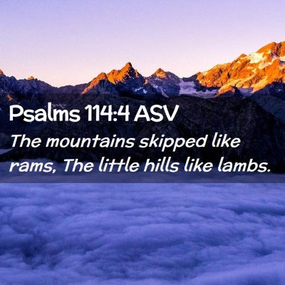 Picture 02 - Psalms 114:4 ASV - The mountains skipped like rams, The little hills - Bible Verse Picture