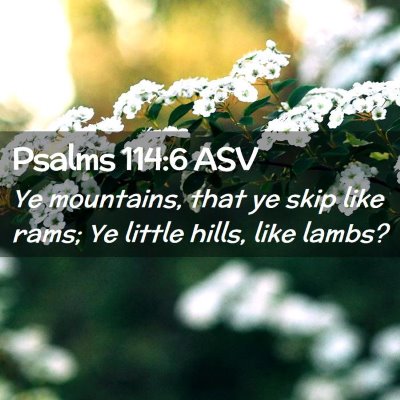 Picture 02 - Psalms 114:6 ASV - Ye mountains, that ye skip like rams; Ye little - Bible Verse Picture