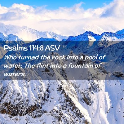 Picture 02 - Psalms 114:8 ASV - Who turned the rock into a pool of water, The - Bible Verse Picture