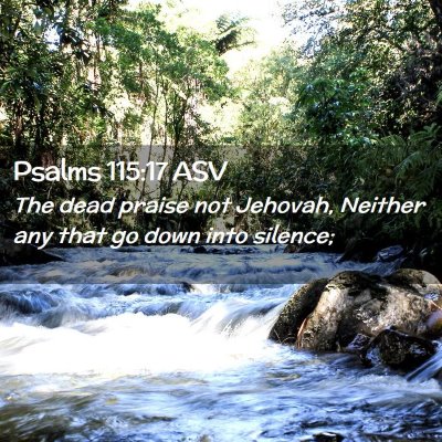 Picture 02 - Psalms 115:17 ASV - The dead praise not Jehovah, Neither any that go - Bible Verse Picture