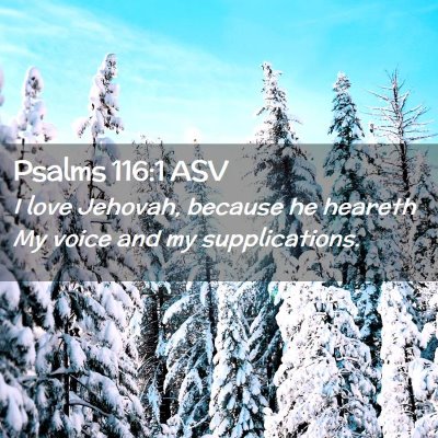 Picture 02 - Psalms 116:1 ASV - I love Jehovah, because he heareth My voice and - Bible Verse Picture