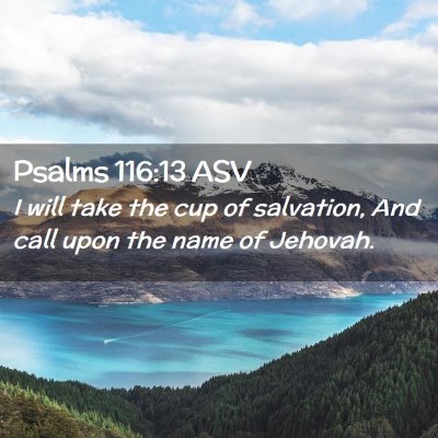 Picture 02 - Psalms 116:13 ASV - I will take the cup of salvation, And call upon - Bible Verse Picture