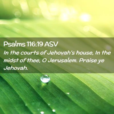 Picture 02 - Psalms 116:19 ASV - In the courts of Jehovah's house, In the midst of - Bible Verse Picture