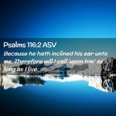 Picture 02 - Psalms 116:2 ASV - Because he hath inclined his ear unto me, - Bible Verse Picture