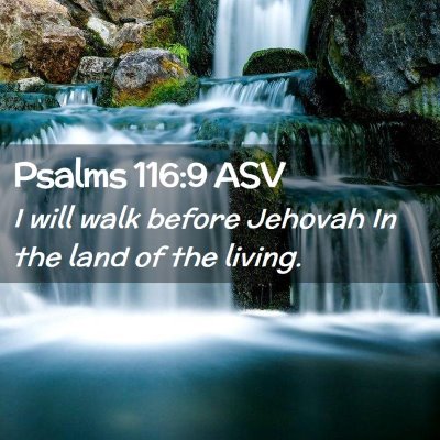 Picture 02 - Psalms 116:9 ASV - I will walk before Jehovah In the land of the - Bible Verse Picture