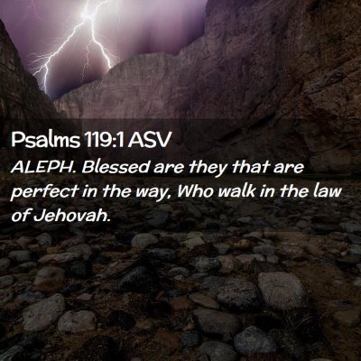Picture 02 - Psalms 119:1 ASV - ALEPH. Blessed are they that are perfect in the - Bible Verse Picture