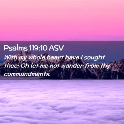Picture 02 - Psalms 119:10 ASV - With my whole heart have I sought thee: Oh let me - Bible Verse Picture