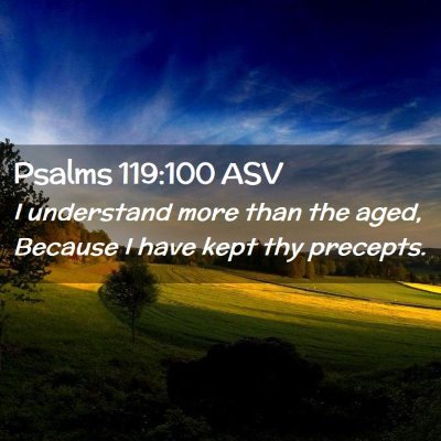 Picture 02 - Psalms 119:100 ASV - I understand more than the aged, Because I have - Bible Verse Picture
