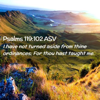 Picture 02 - Psalms 119:102 ASV - I have not turned aside from thine ordinances; - Bible Verse Picture