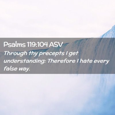 Picture 02 - Psalms 119:104 ASV - Through thy precepts I get understanding: - Bible Verse Picture