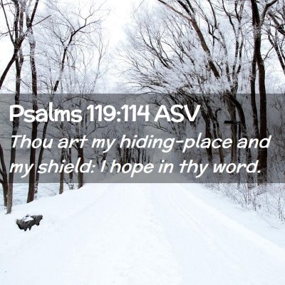 Picture 02 - Psalms 119:114 ASV - Thou art my hiding-place and my shield: I hope in - Bible Verse Picture