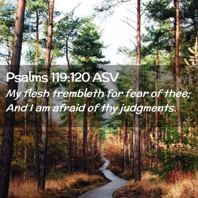 Picture 02 - Psalms 119:120 ASV - My flesh trembleth for fear of thee; And I am - Bible Verse Picture