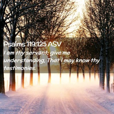 Picture 02 - Psalms 119:125 ASV - I am thy servant; give me understanding, That I - Bible Verse Picture