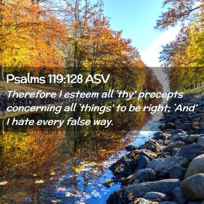 Picture 02 - Psalms 119:128 ASV - Therefore I esteem all `thy' precepts concerning - Bible Verse Picture